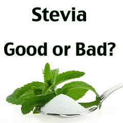stevia effets secondaires